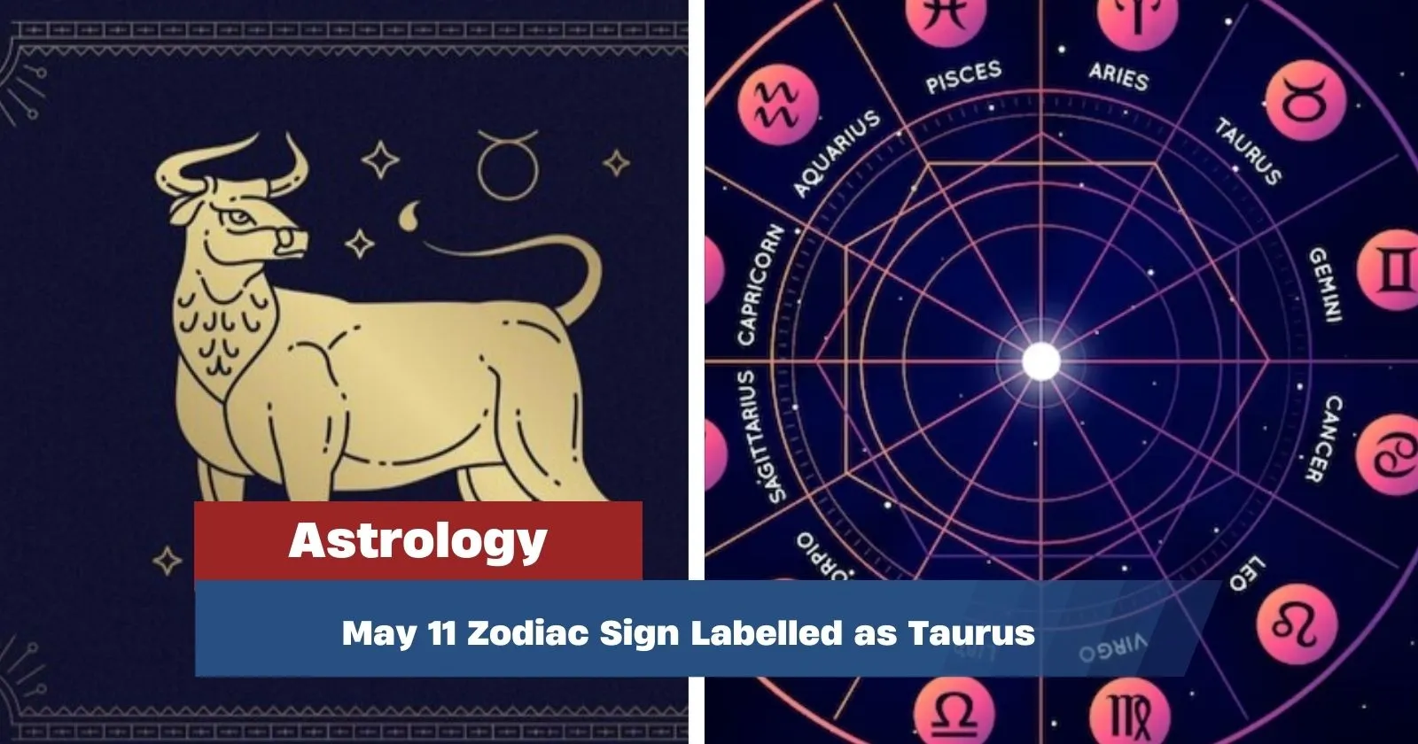 May 11 Zodiac Sign Labelled as Taurus: Characteristics and Personal ...